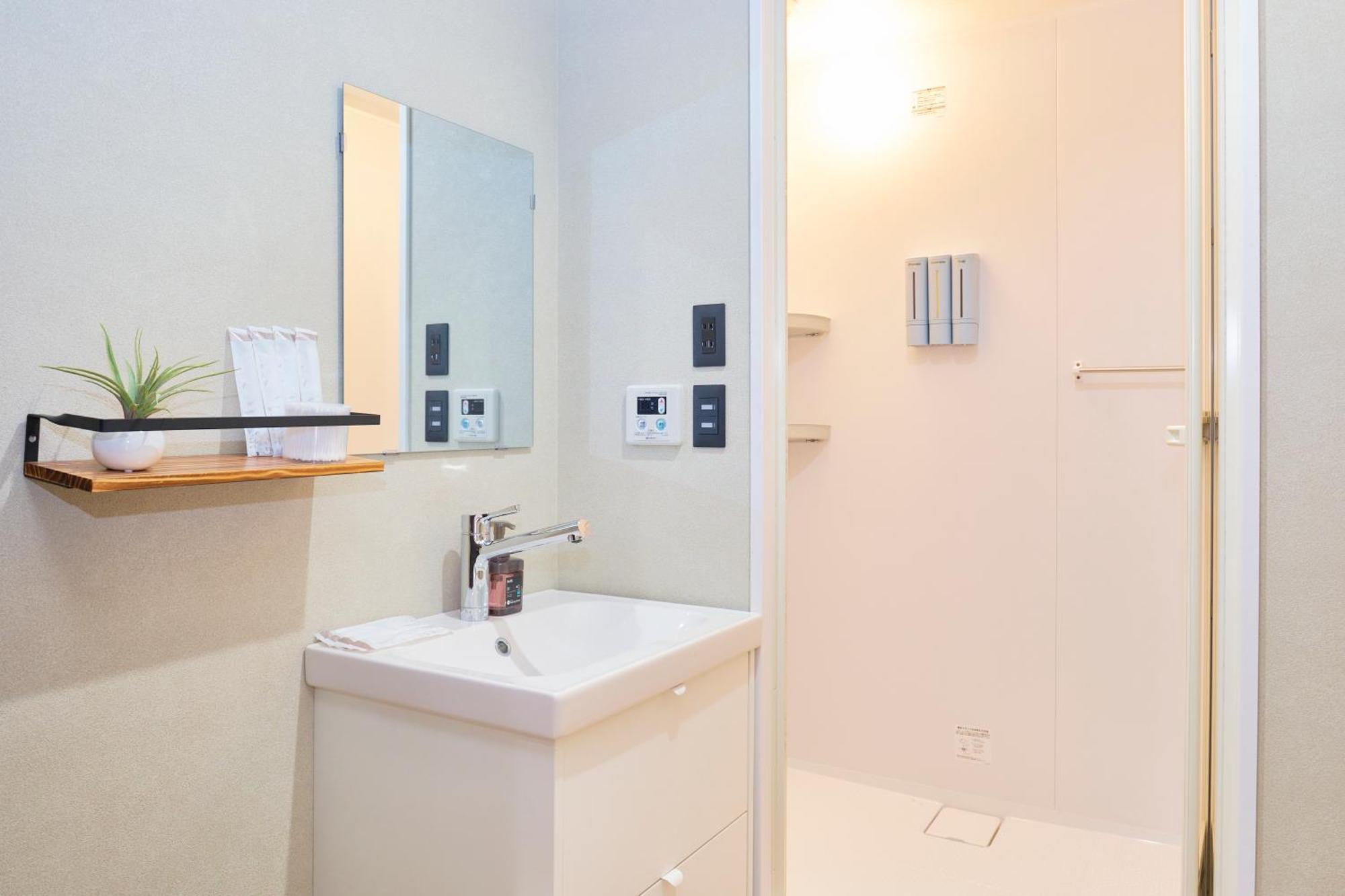 Olden Historic Town Newly Renovated Specious Appartement *